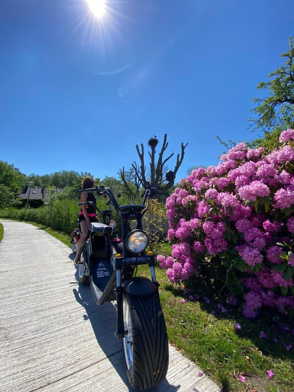 geruisloos genieten op een e-chopper van weerribben choppers oldemarkt